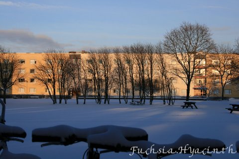 Upp.bike.bldg