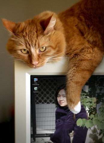 fun_2 fun_2