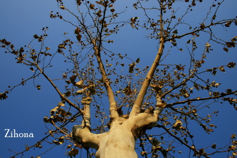 Tsinghua.2009-12-21 009