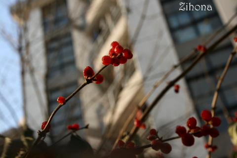 Tsinghua.2009-12-21 030