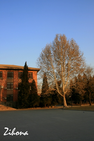 Tsinghua.2009-12-21 064